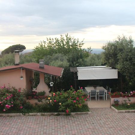 B&B La Terrazza Di ฟรัสกาตี ภายนอก รูปภาพ