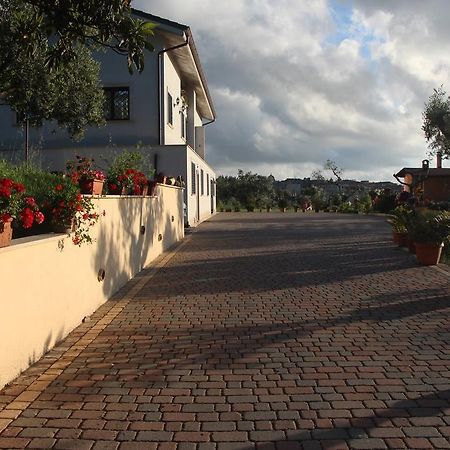 B&B La Terrazza Di ฟรัสกาตี ภายนอก รูปภาพ