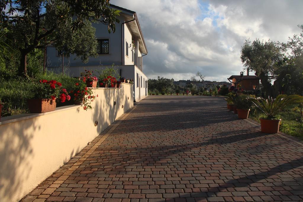 B&B La Terrazza Di ฟรัสกาตี ภายนอก รูปภาพ