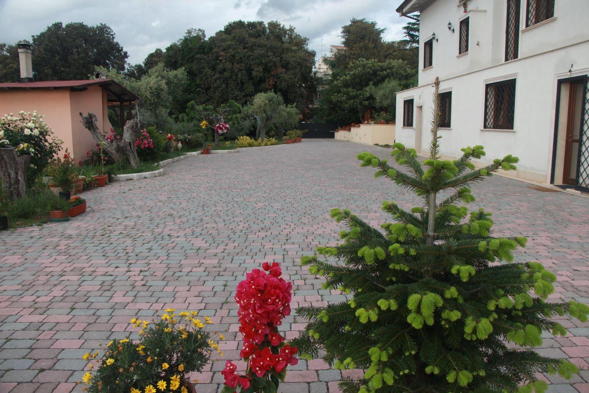 B&B La Terrazza Di ฟรัสกาตี ภายนอก รูปภาพ
