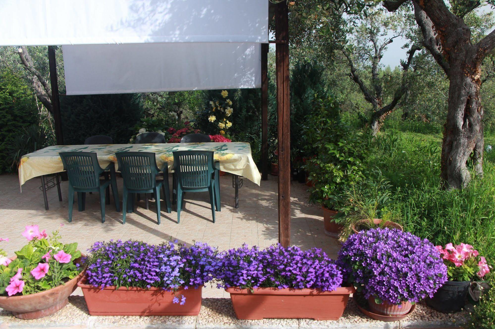 B&B La Terrazza Di ฟรัสกาตี ภายนอก รูปภาพ
